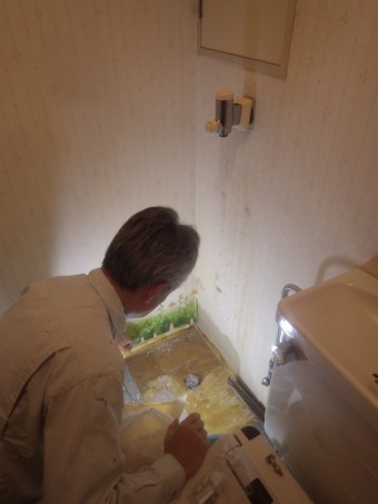 IMGP4289-e1717394660418